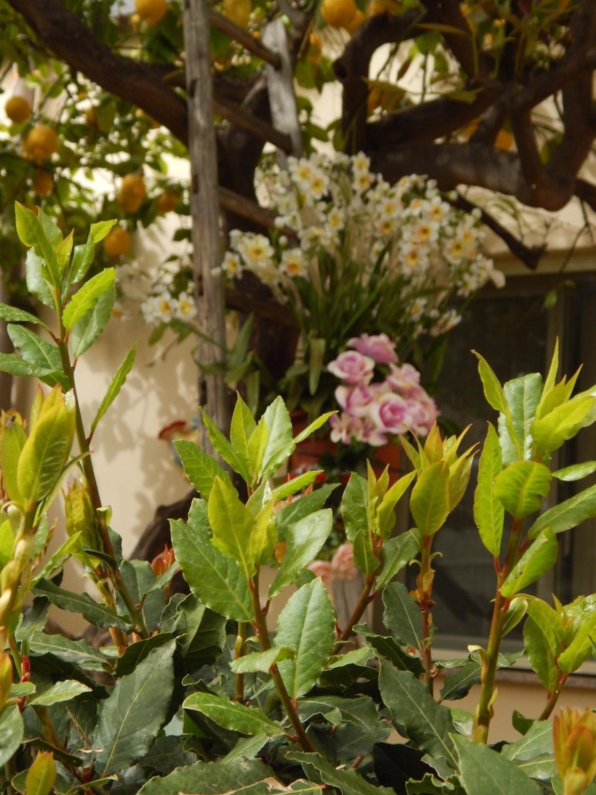 Nel Giardino Di Nunziatina Lägenhet Syrakusa Exteriör bild