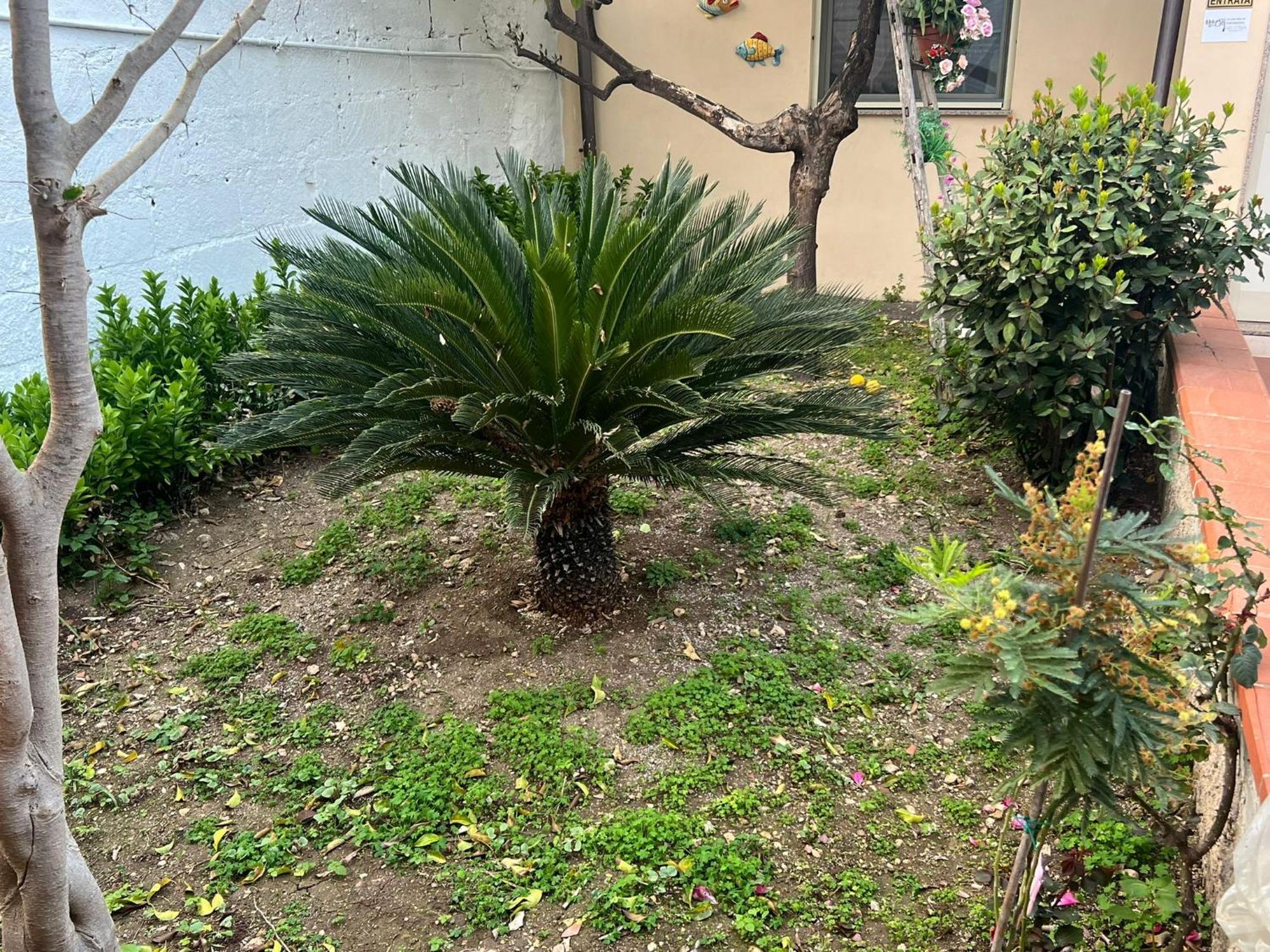 Nel Giardino Di Nunziatina Lägenhet Syrakusa Exteriör bild
